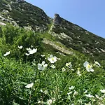 Rest & Apartment Schreiberhau