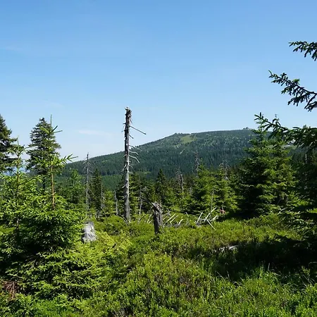 Rest & * シクラルスカ・ポレンバ