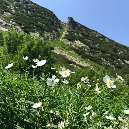 Rest & アパート シクラルスカ・ポレンバ