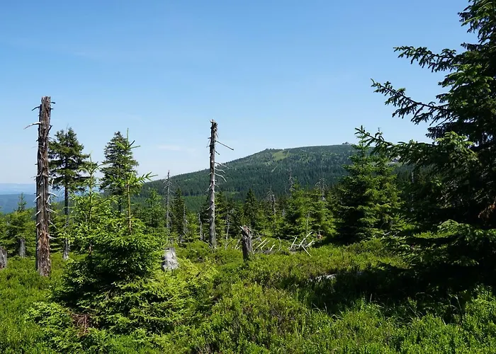 Rest & * シクラルスカ・ポレンバ