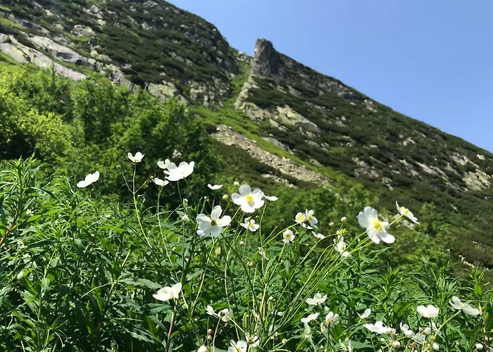 Rest & アパート シクラルスカ・ポレンバ